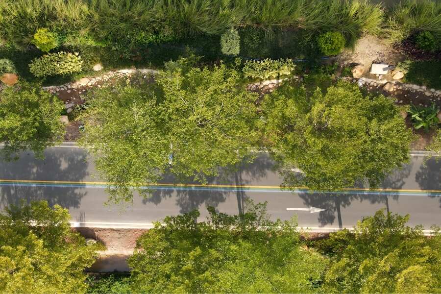 1754307214430145.jpg 20.jpg