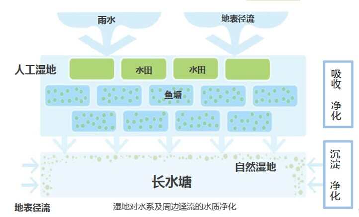 1754696688119929.jpg 1.png.jpg