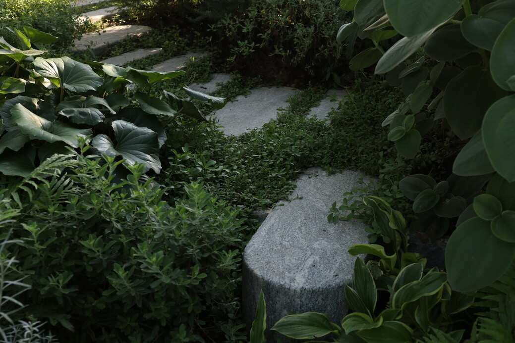 1756717221116052.jpg LINV9824_調(diào)整大小.jpg