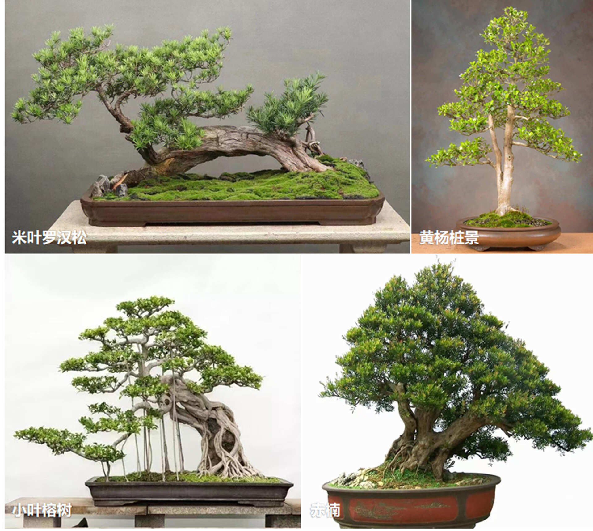 1756810058104704.jpg 25.jpg