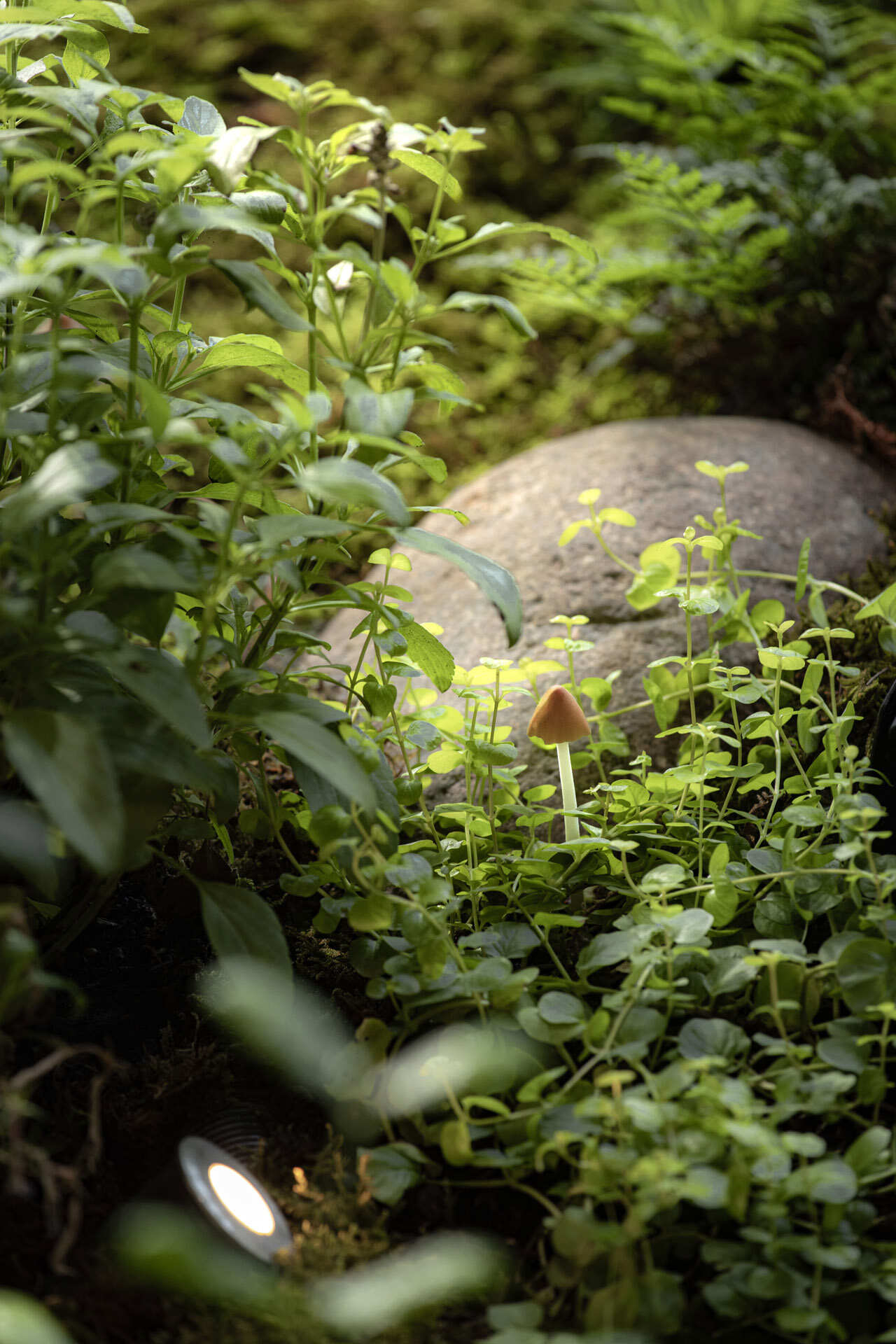 1756810657140352.jpg 37.jpg