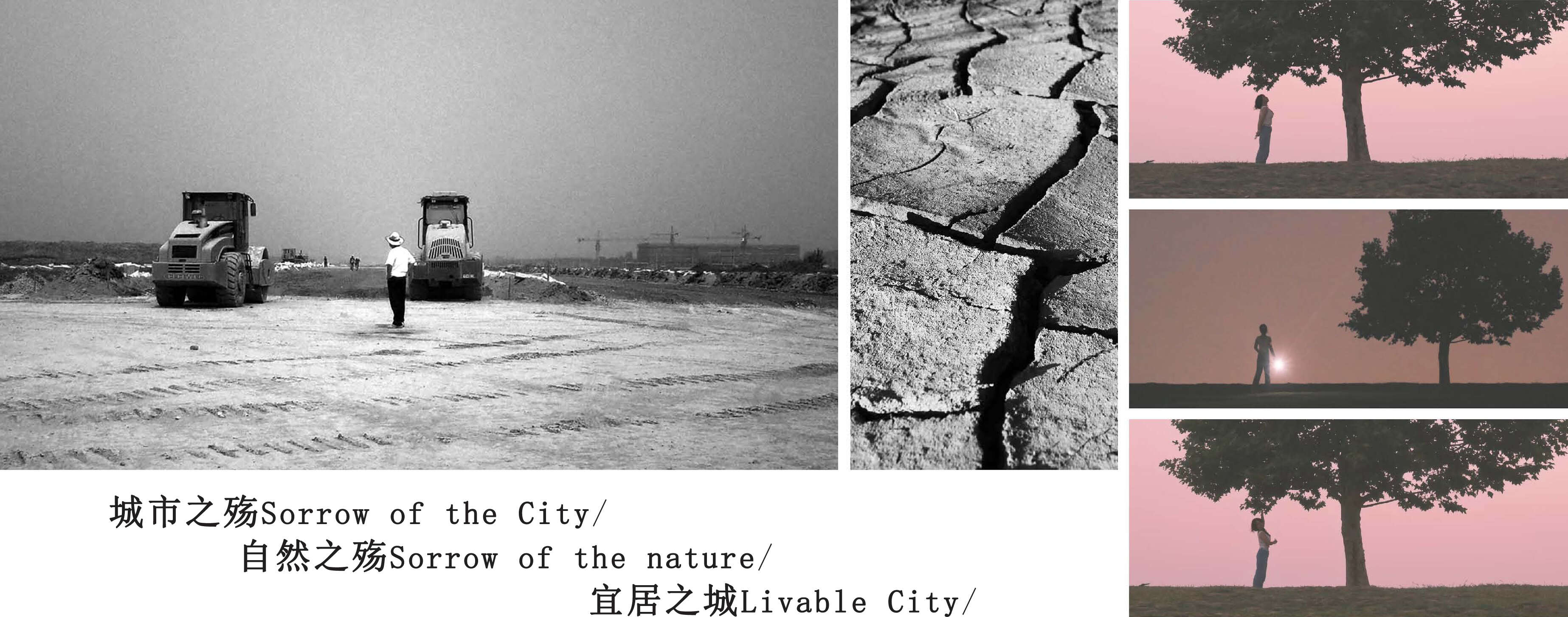 1756963037312711.jpg 40.jpg