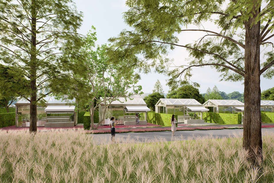 1756966418233619.jpg 15.jpg