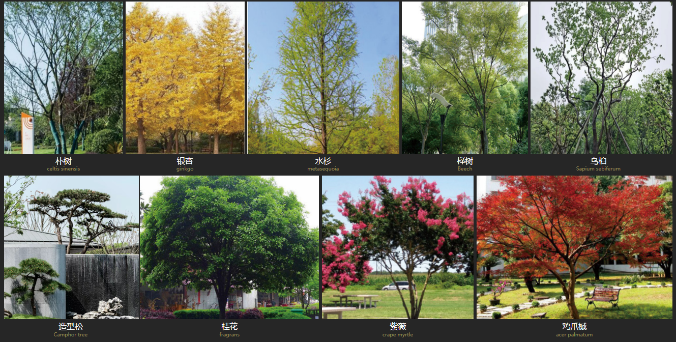 1760085359363360.png 36.png