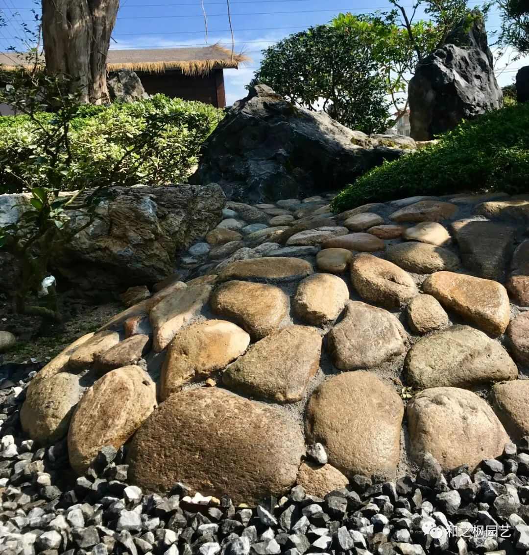 1770710462285545.jpg 1646796129977897.jpg