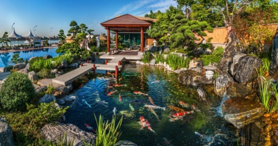 楊健生作品｜意橋島 日式風格枯山水經(jīng)典之作