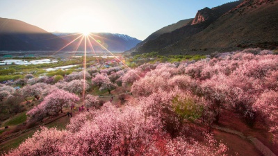 西藏林芝嘎啦桃花村景觀工程