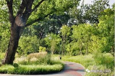 新自然｜北京市蓮花池城市森林公園