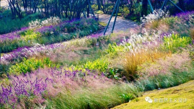 新自然｜成都龍泉山丹景臺(tái)擬自然花境營造