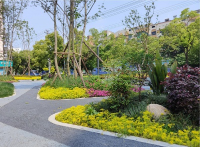 枝江市建材市場口袋公園