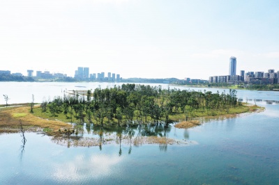 鹿溪河流域興隆湖水生態(tài)綜合提升工程——興隆湖林水一體化整體生態(tài)系統(tǒng)專(zhuān)項(xiàng)設(shè)計(jì)