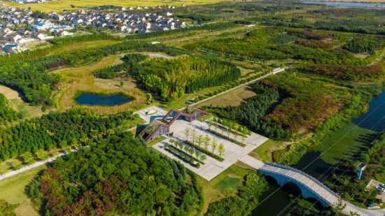 泰興市東郊森林公園