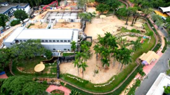 城市動物園改建工程“大象谷景觀”建設(shè)成果簡析