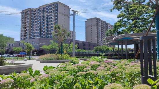 2019年重點大街環(huán)境整治設計